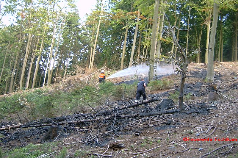 Waldbrand Hohenbogen - Beim Verbrennen von Kaeferholz Glut nicht abgeloescht